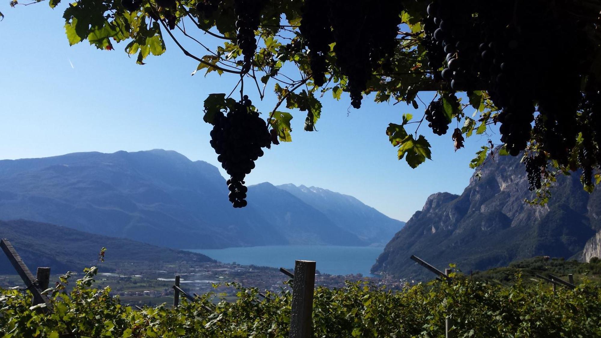 Agritur Calvola Villa Tenno Eksteriør billede